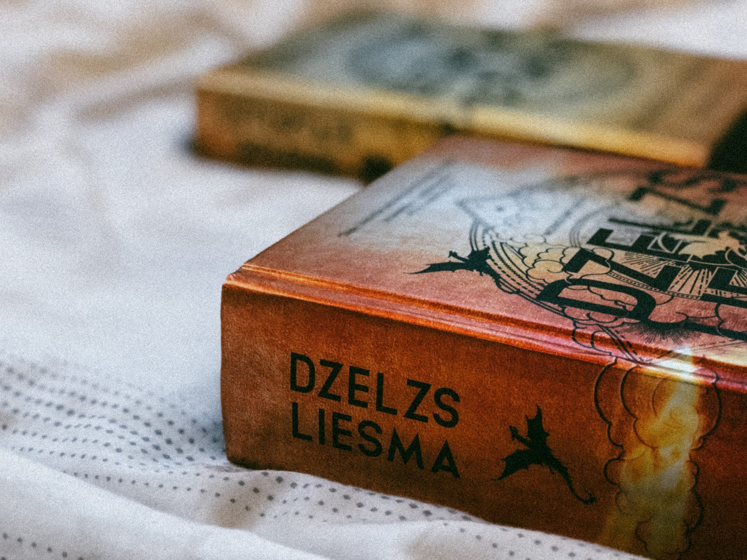 Rebeka Jarosa «Dzelzs liesma»